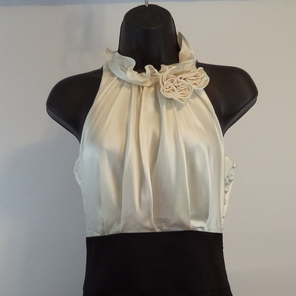 BCBGMaxAzria Dresses & Skirts - BCBG Maxaxria Sleeveless Dress 0 CL0321 0219